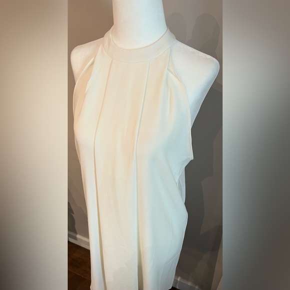 Bishop + Young Semi-Sheer Ivory Halter Dress Sz Small - Picture 4 of 8